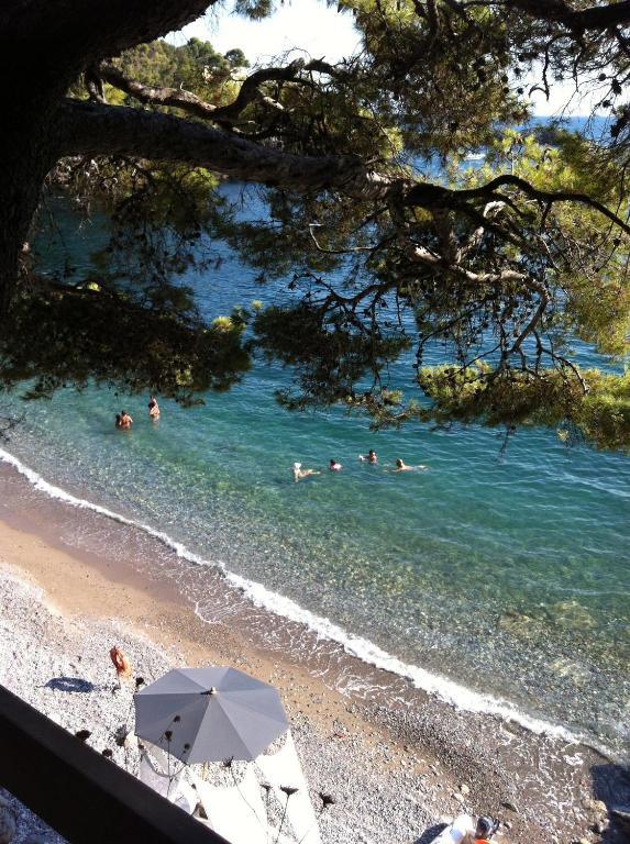 Eco Del Mare Bed and Breakfast Lerici Eksteriør billede